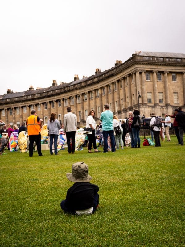 The Summer Owls of Bath