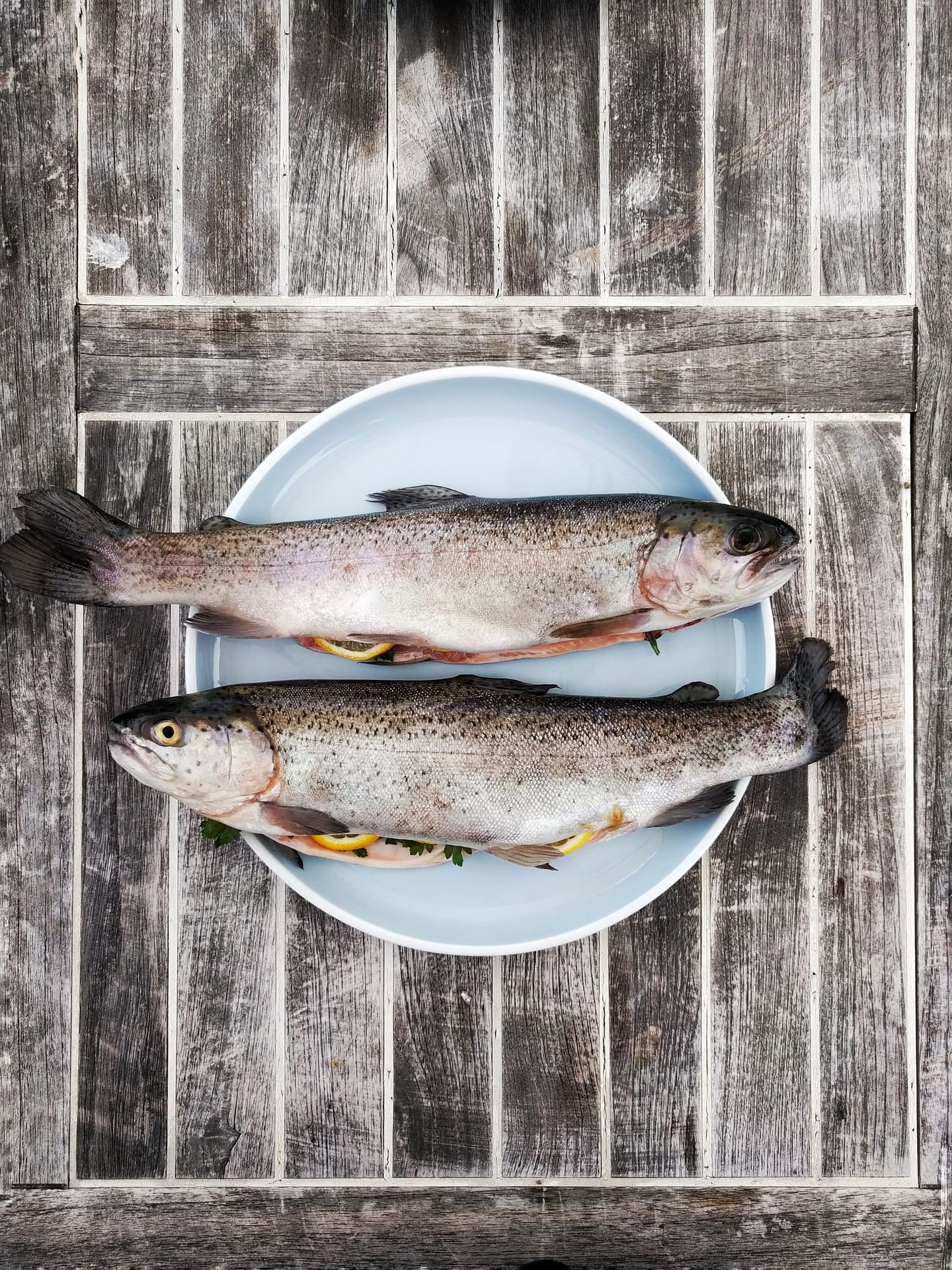 A Simple Guide to Sustainable Seafood | Switch It Up Series