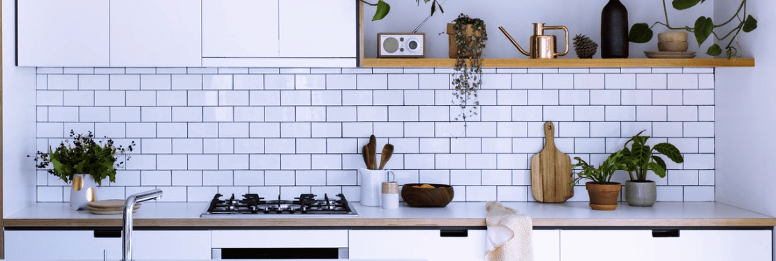 Ecococonut | Embracing the Plastic-Free Cleaning Alternative Doesn’t Have to Cost the Earth