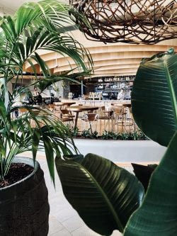 Freshwater | Harbord Diggers Club