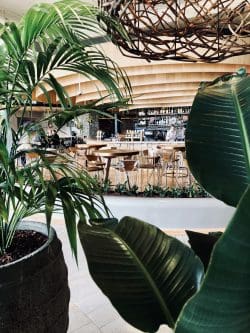 Freshwater | Harbord Diggers Club