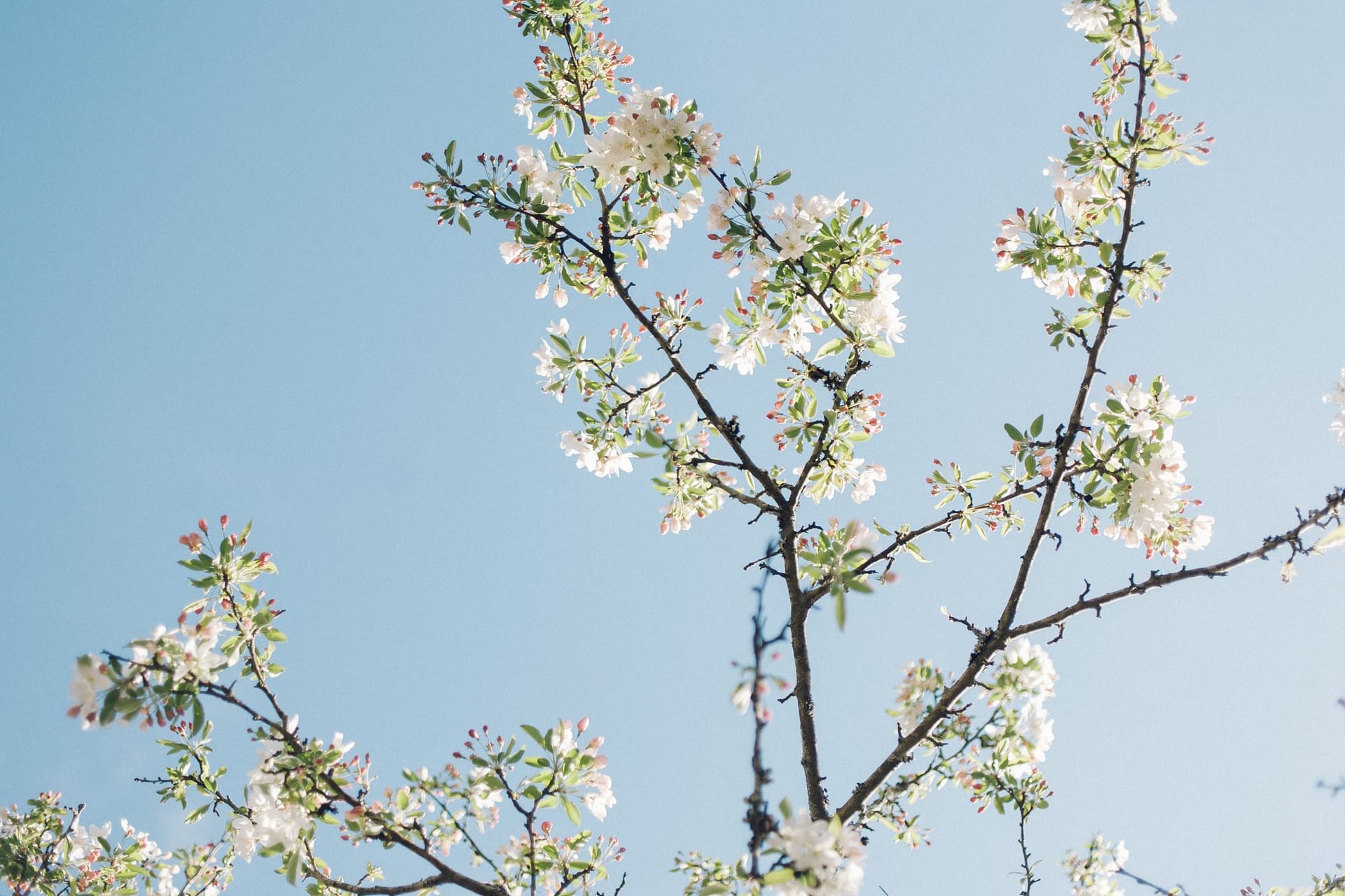 Gratitude and Mindful Moments