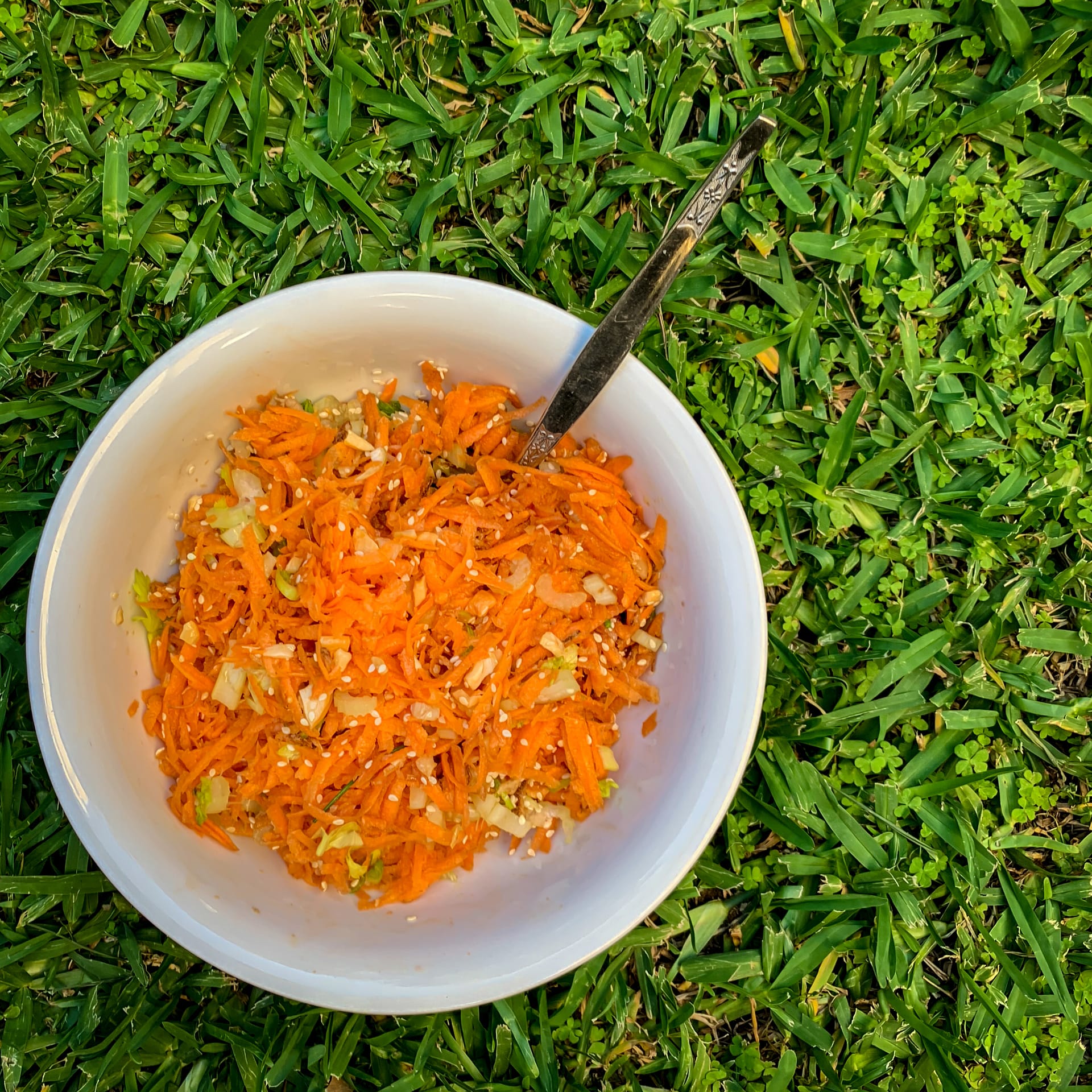 Nourishing Simple Carrot Salad