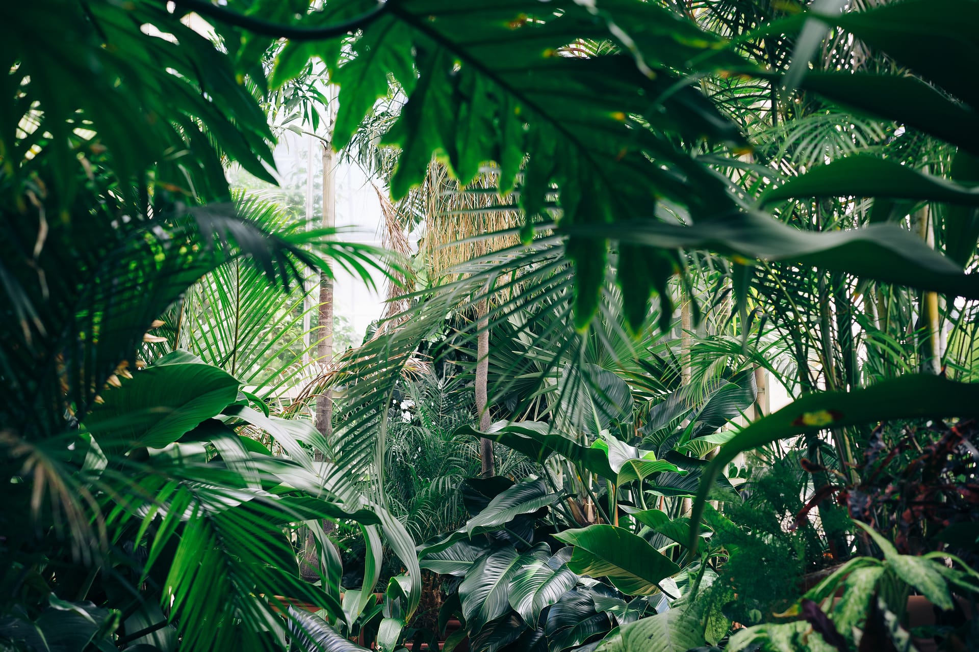 The unlikely link between permaculture design & getting your kid off screens